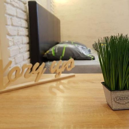 New Luxury Studio Apartment Ivano-Frankivsk Ngoại thất bức ảnh